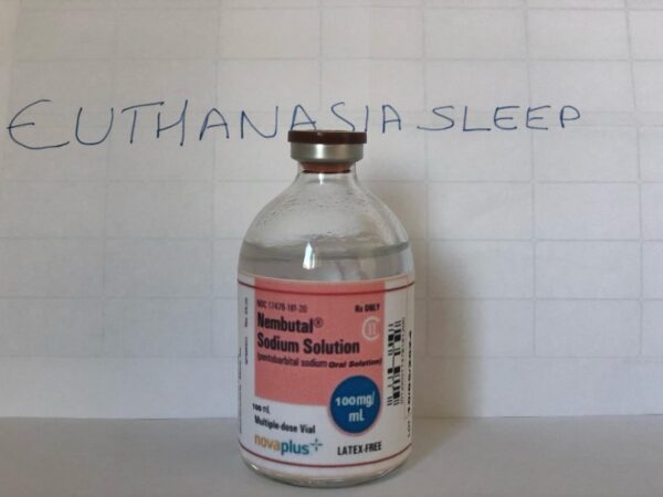 Numbutal oral solution from Euthanasia sleep