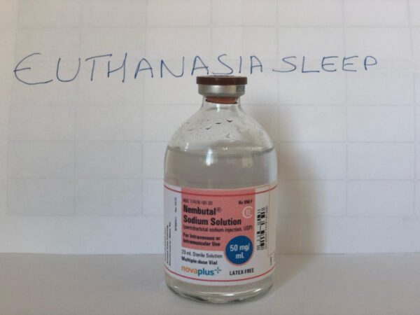 Numbutal injectable solution from Euthanasia sleep